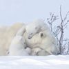 save_the_earth1
