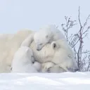 @save_the_earth1