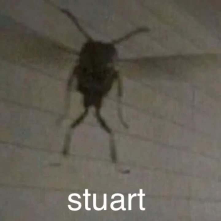 @sumliketha