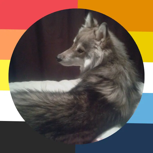 @ravens_dirty_paws