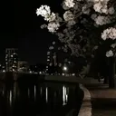 @a_m_ais