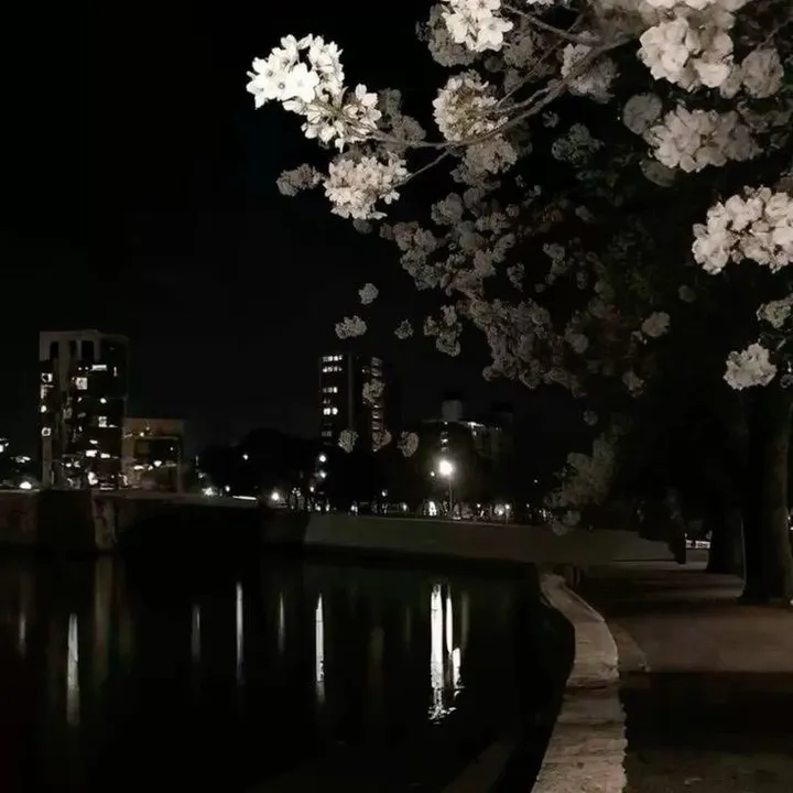 a_m_ais