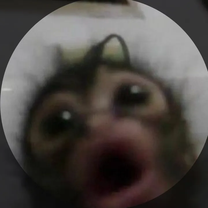 nessawrlld