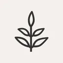 @livekindly