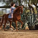 @jayne_equestrian