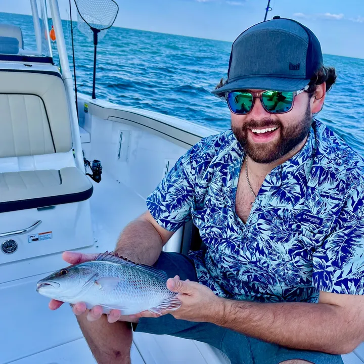 gulfaddiction