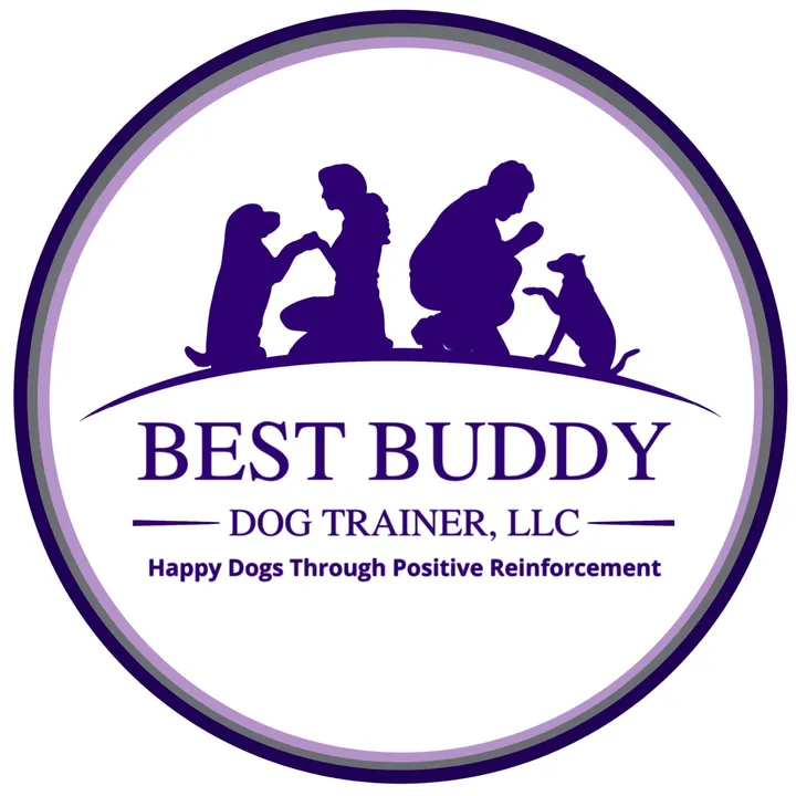 @bestbuddydogtrainer