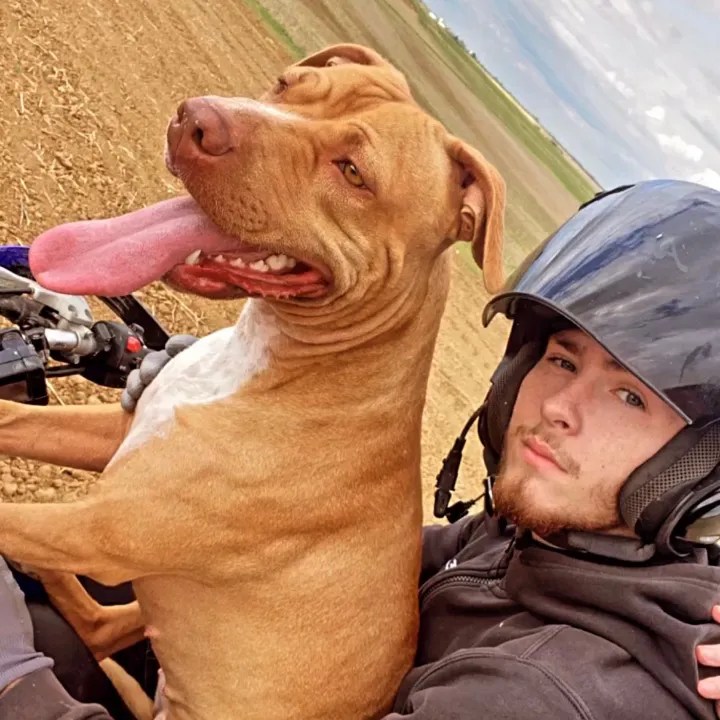 kiara_isis_apbt