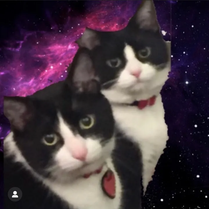 pepper_cece_cocoa