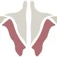 @instituteofhumananatomy