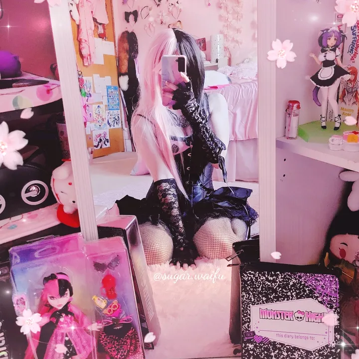 sugar.waifu