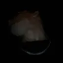 @damiannnnnnnnnnn__
