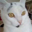 @hüsnaçağlar26