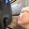 sudsycowgirlinc