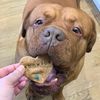 mrbronson19