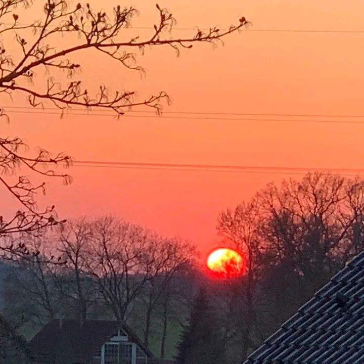 @zahnzaubermaeuschen