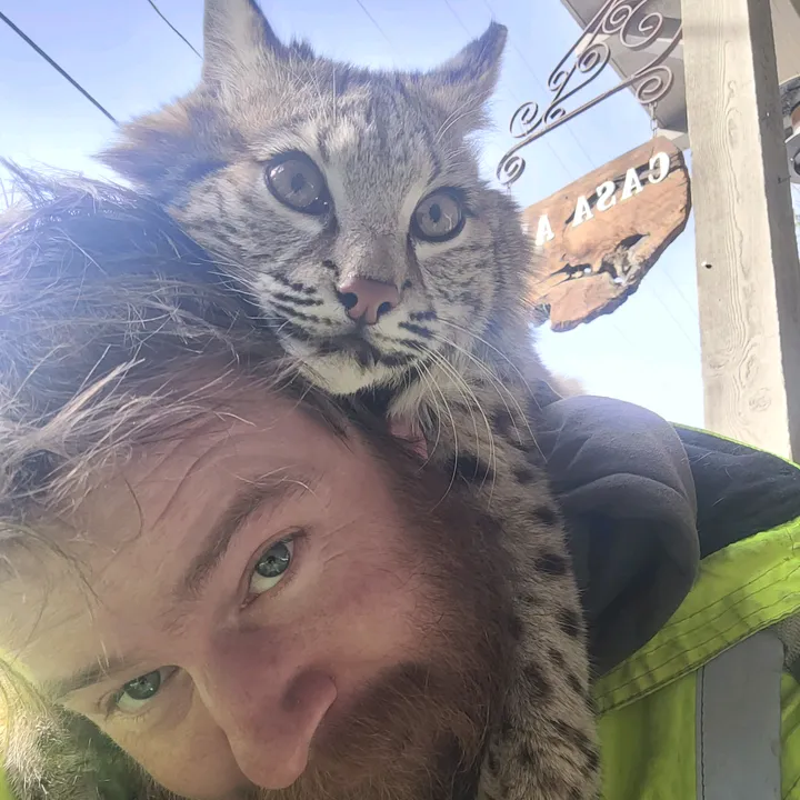 defntlyadisneyprincess