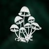 mushroom___queen