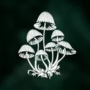 @mushroom___queen