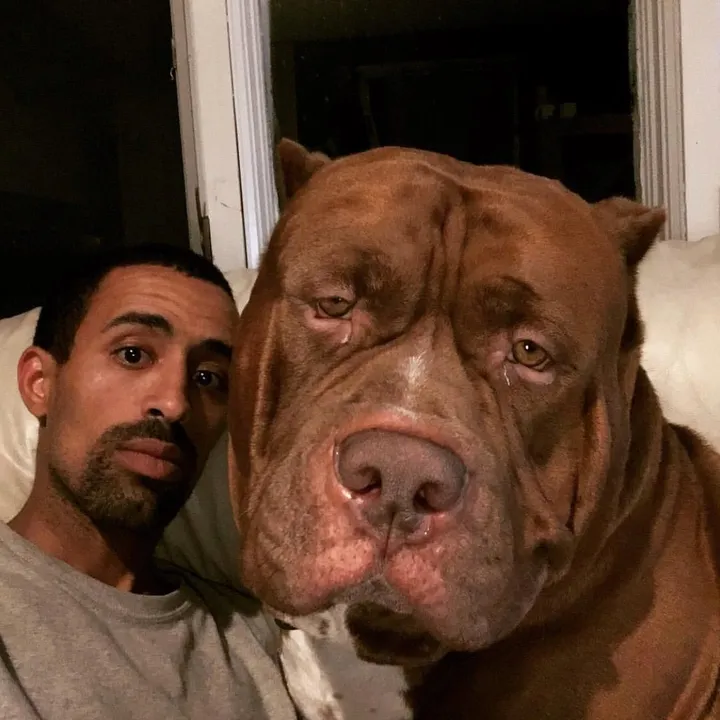 darkdynastyk9s