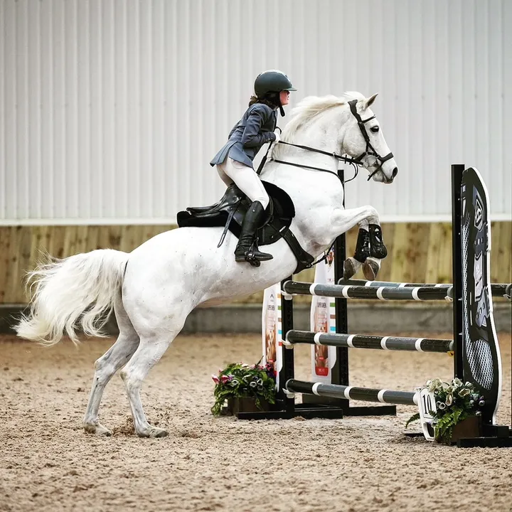lucie_jumps