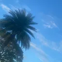 @risefromdiscard