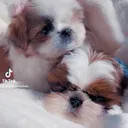 @girlieeslabon
