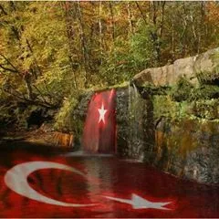 musaeren82
