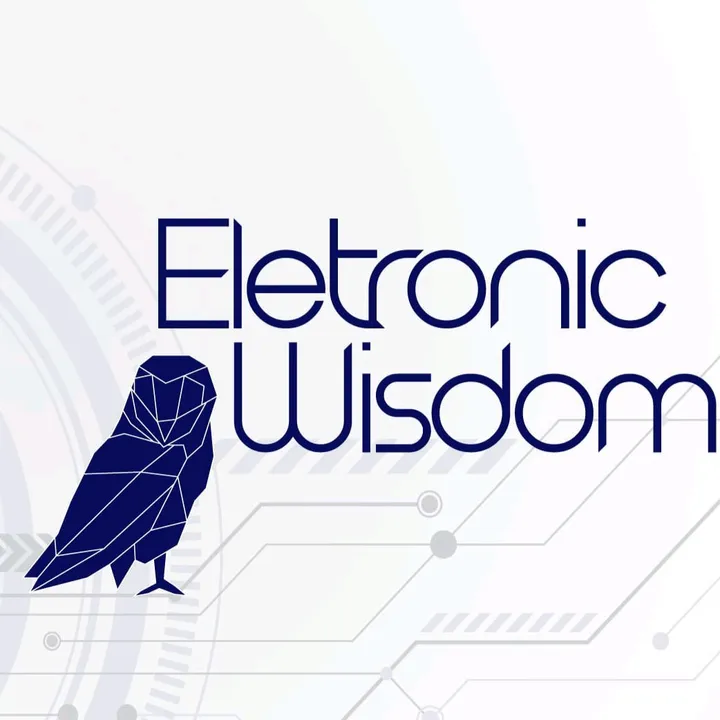 @eletronic_wisdom