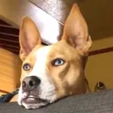 @somethingsour