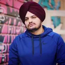 @sajangarry