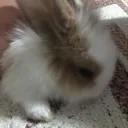 @şevket00