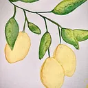 @lettering_lemon