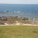 @carvalho