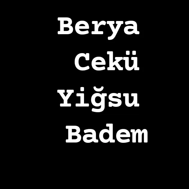 @fesat_.dizi