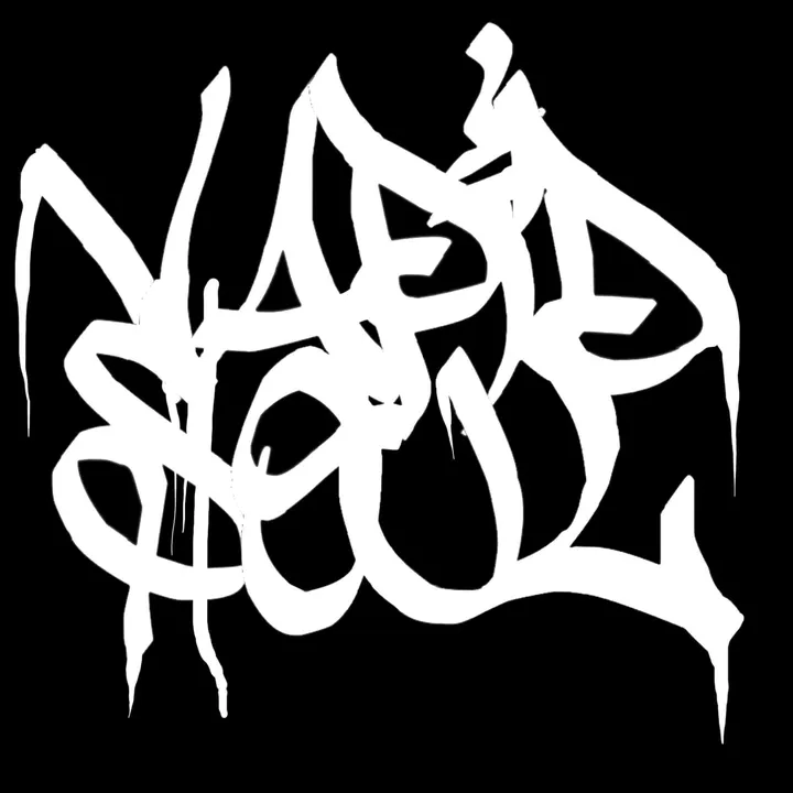 vapidsoulband
