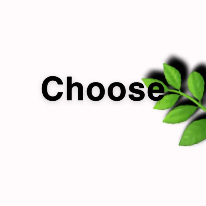 choosing_fun