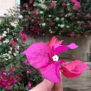 @mesoo_7979