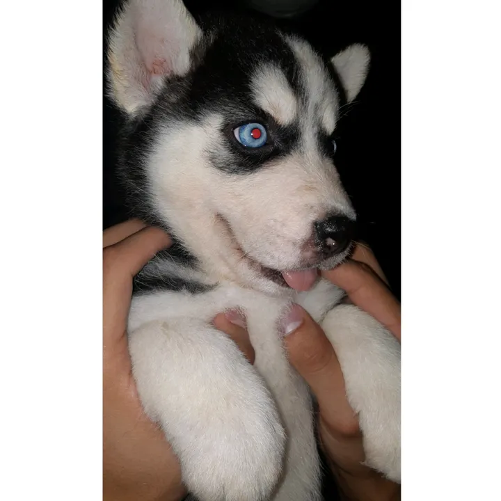 kyra_o5
