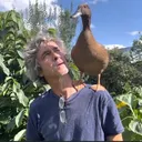 @petercainedogtraining1