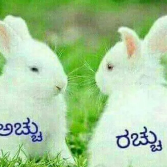 ashapgowda23