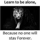 @iqbalkureshi71