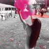 asli.savas