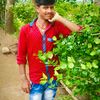 amar21142421