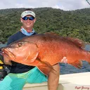@captjimmynelson