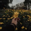@inspi.aesthetic