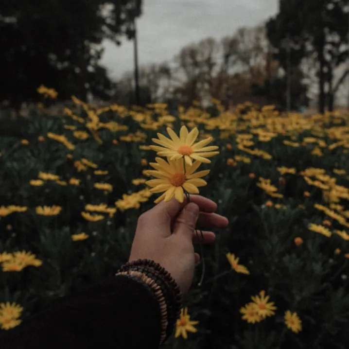 inspi.aesthetic