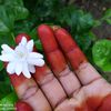 ramyareddy65jannu