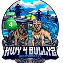 @hwy4bullyz