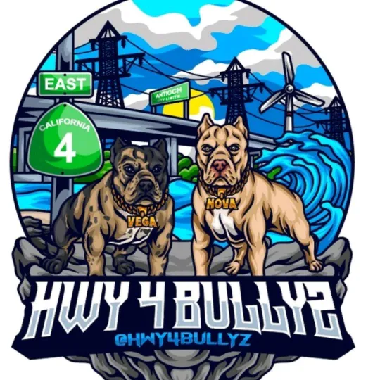 @hwy4bullyz